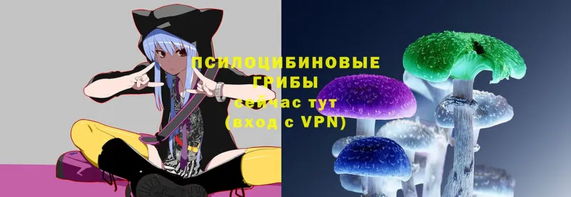 Псилоцибиновые грибы Magic Shrooms  сколько стоит  Избербаш 